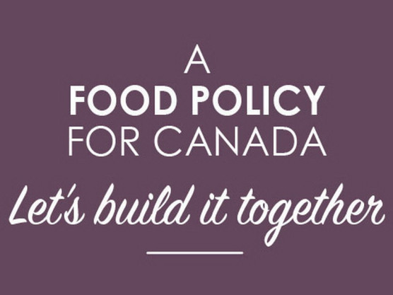 Have your say in Canada’s Food Policy