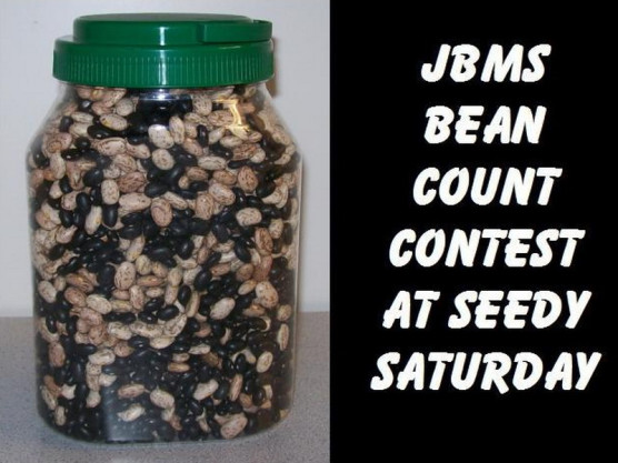 JBMS – Bean Counting Contest at Seedy Saturday
