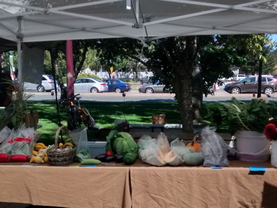 Mar Farms at the Breakwater Market