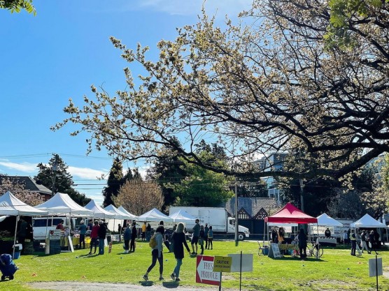 The James Bay Community Market is in full swing – Come on down – May 8th – 9 am to 3 pm