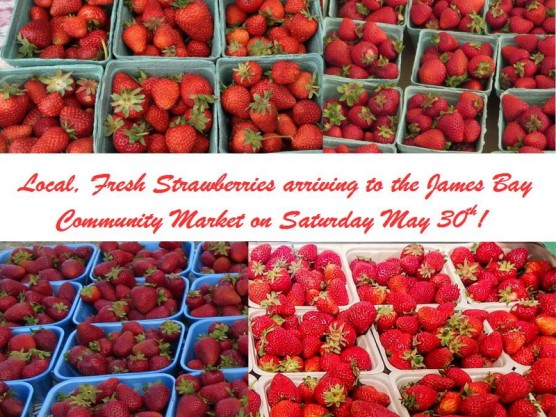 Local Strawberries this Saturday, May 30th